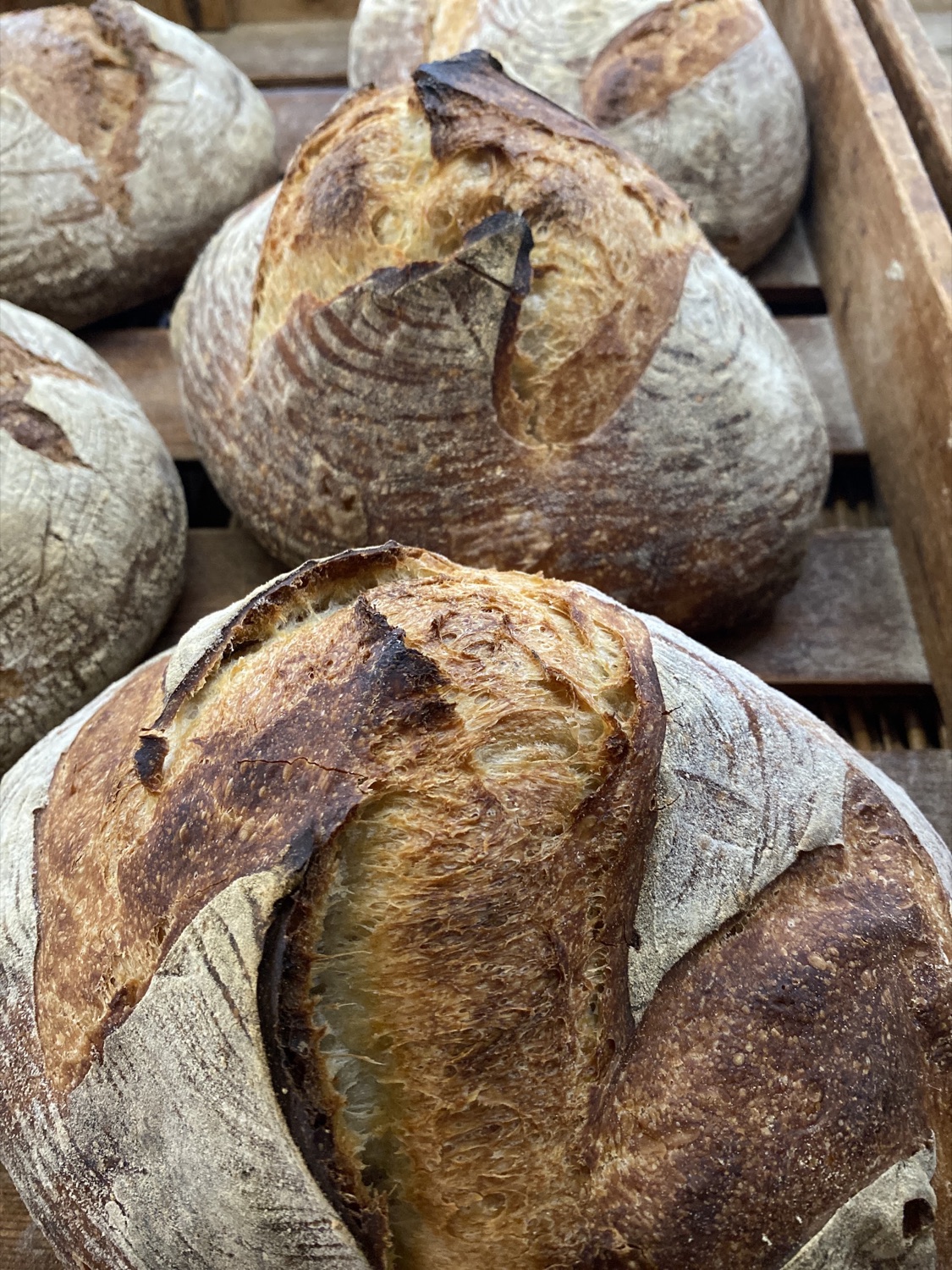 Freshly baked round sourdough loaves with dark, blistered, scored crusts in a wooden crate